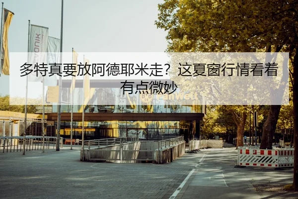 多特真要放阿德耶米走？这夏窗行情看着有点微妙