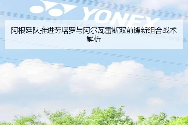 阿根廷队推进劳塔罗与阿尔瓦雷斯双前锋新组合战术解析