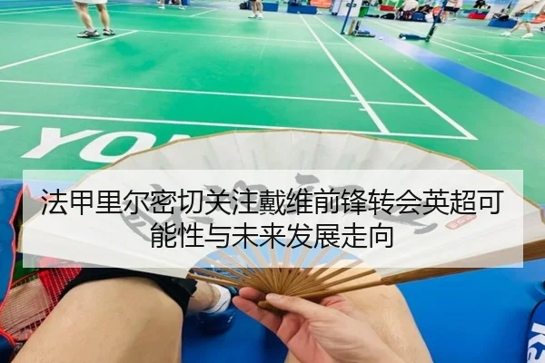 法甲里尔密切关注戴维前锋转会英超可能性与未来发展走向